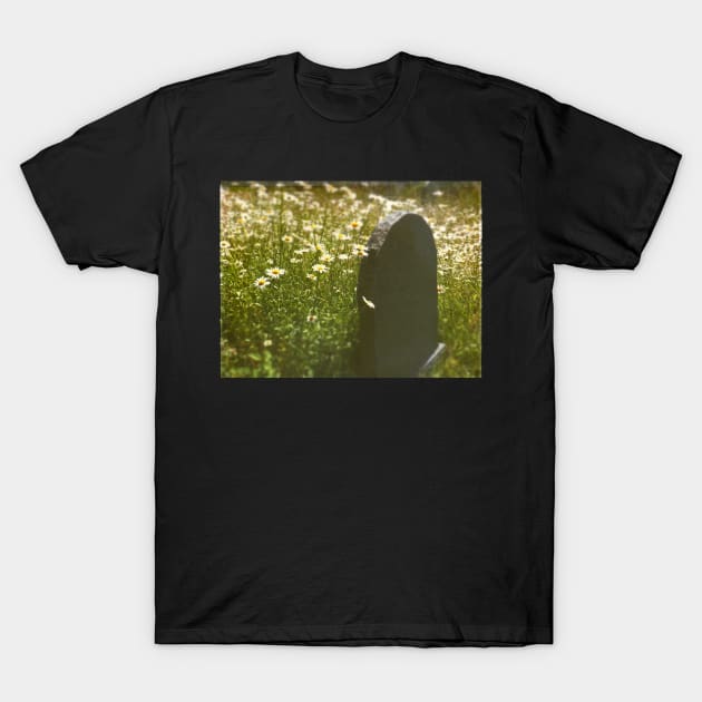 Grave and Daisies T-Shirt by rosedew